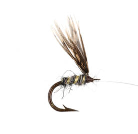 Wasp fly from the Treatyse